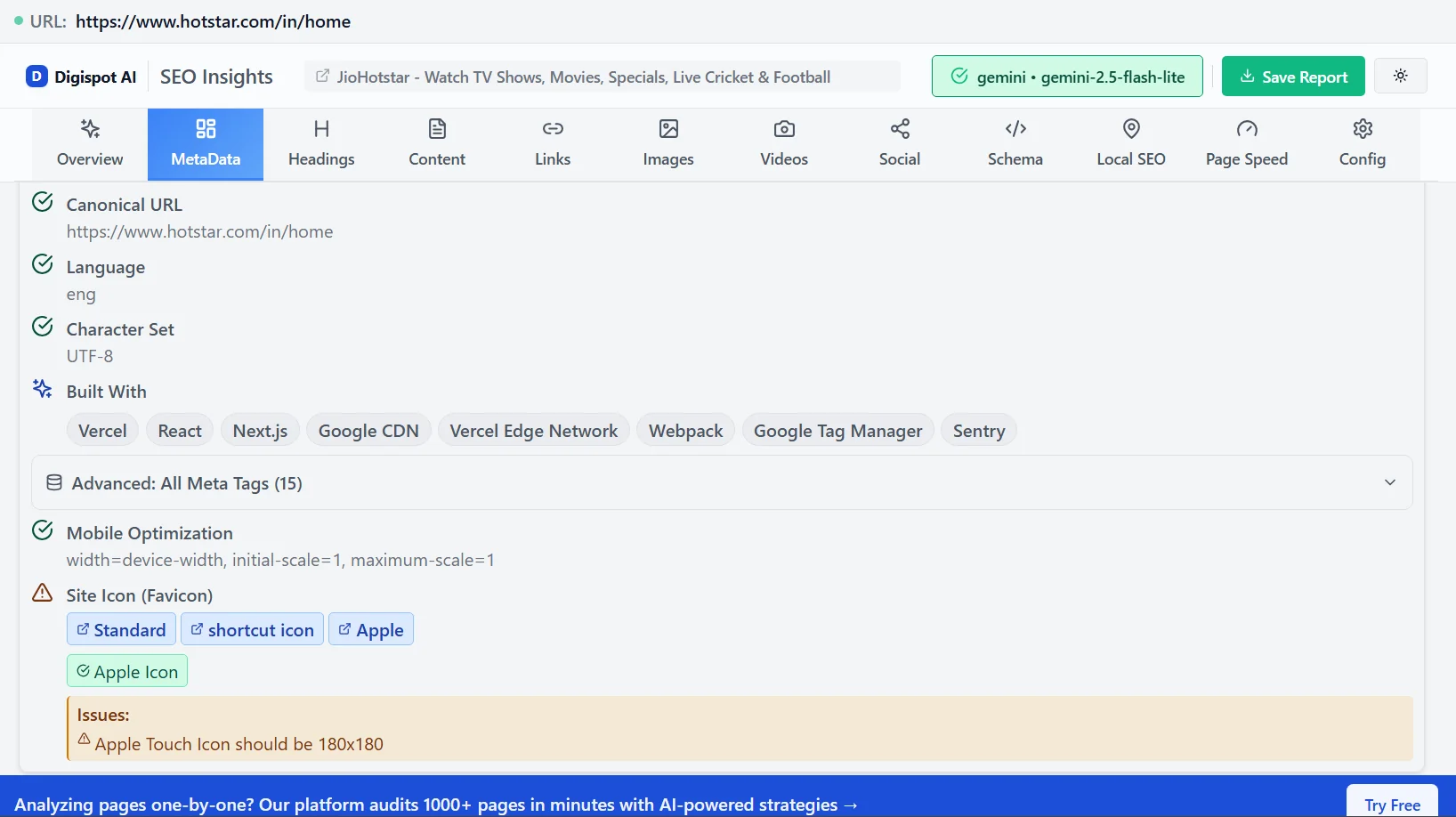 AMP metadata validation showing proper canonical, language, and mobile optimization settings