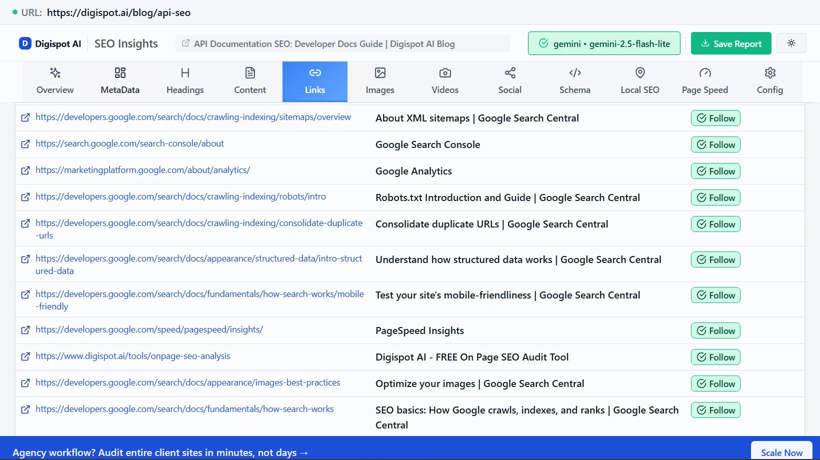 API documentation external links analysis showing backlink profile and link building opportunities