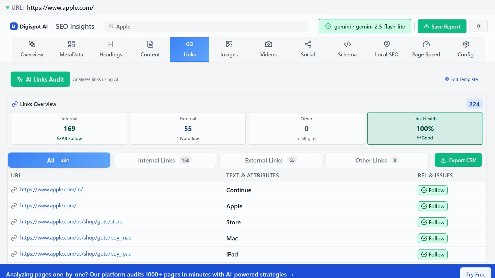 Comprehensive links overview showing 169 internal and 55 external links with 100% link health