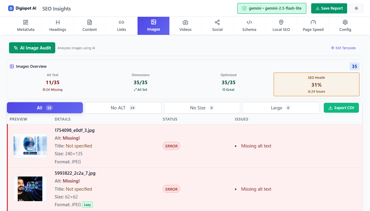 Image optimization settings for data visualization SEO performance