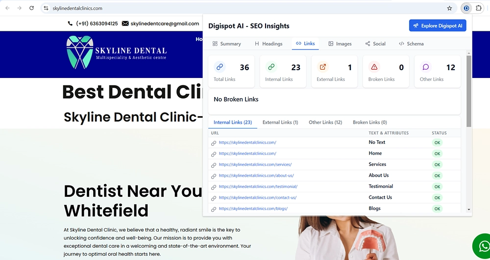 Dental SEO Links (Inernal, External, Broken)