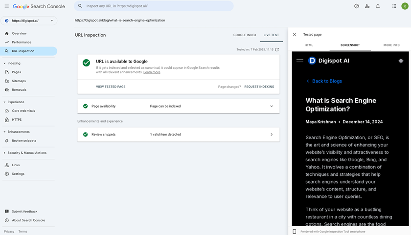 Google Search Console Page Load Test