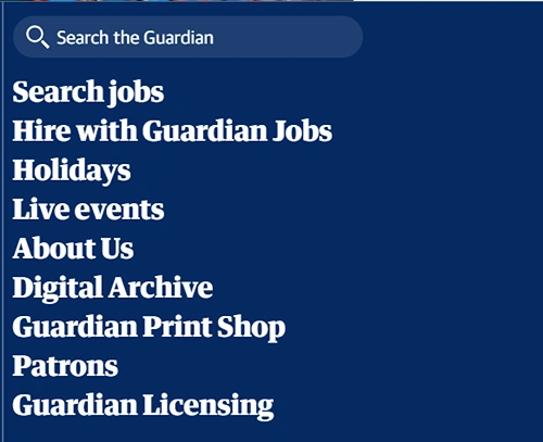 Search Bar Featured in Guardian's Website