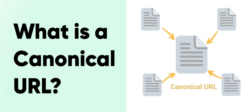 Canonical URLs for SEO: Complete Implementation Guide
