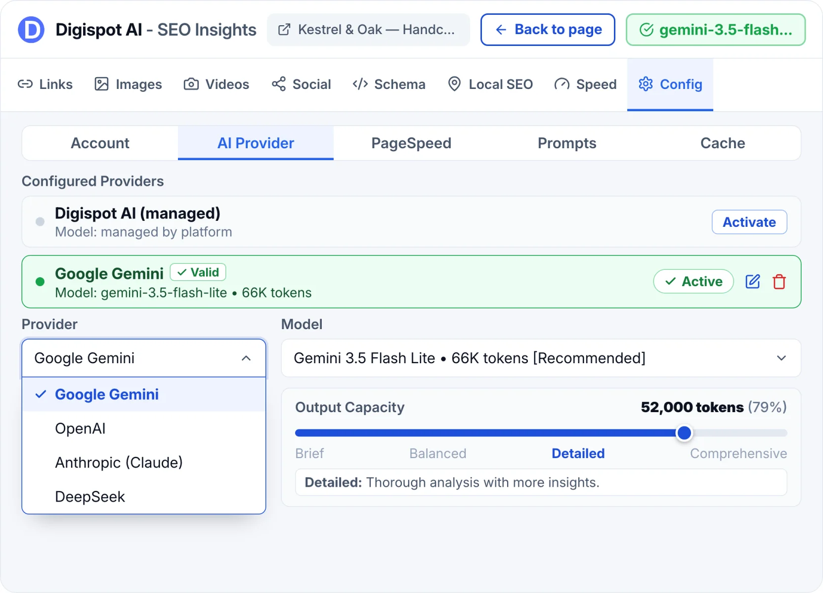 AI provider setup — OpenAI, Anthropic Claude, Google Gemini and DeepSeek with model and output capacity