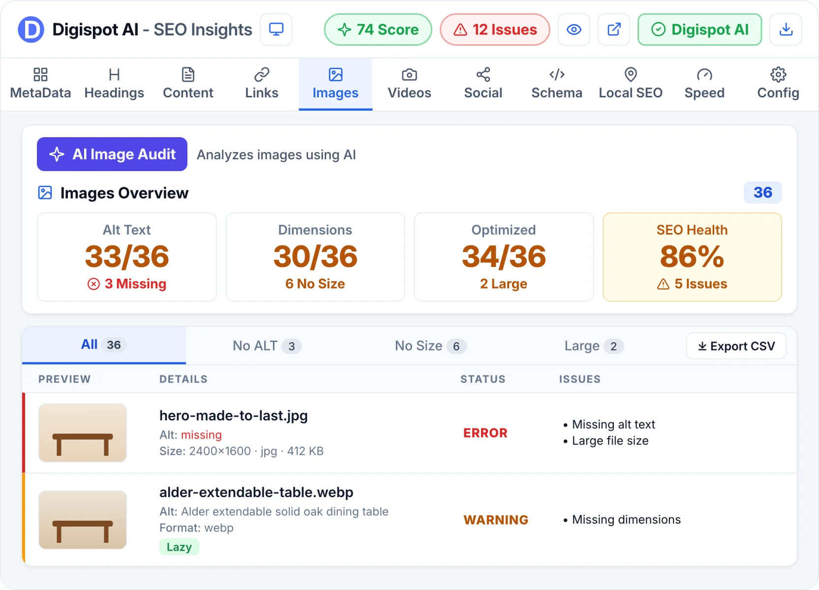 Image SEO in Digispot AI SEO Insights