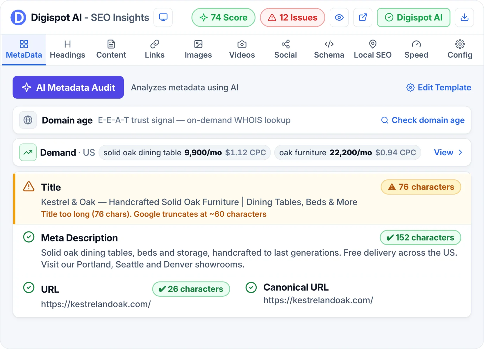 Metadata Audit in Digispot AI SEO Insights