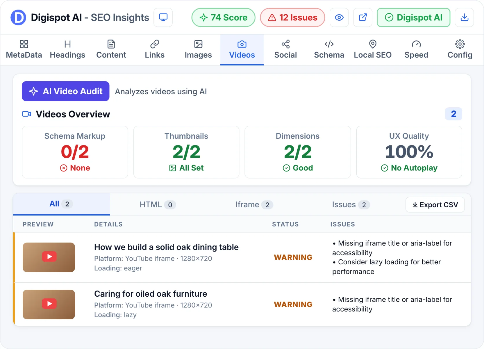 Video SEO in Digispot AI SEO Insights
